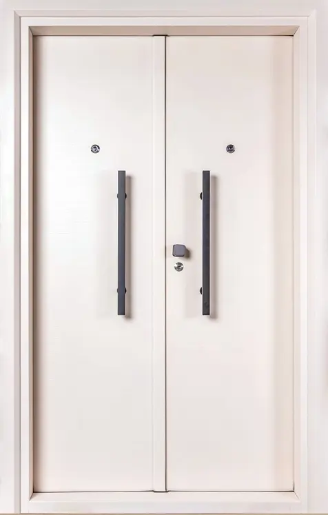 Premium steel doors available in Palakkad – strong and long-lasting design